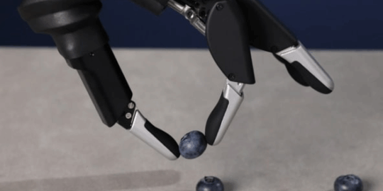 Exploring the Types of Dexterous Robotic Hands